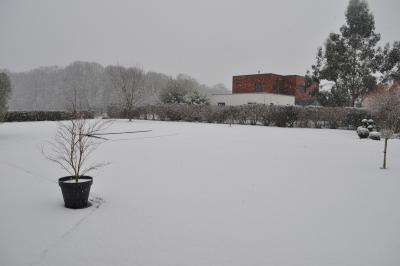 Opération Bonhomme de neige